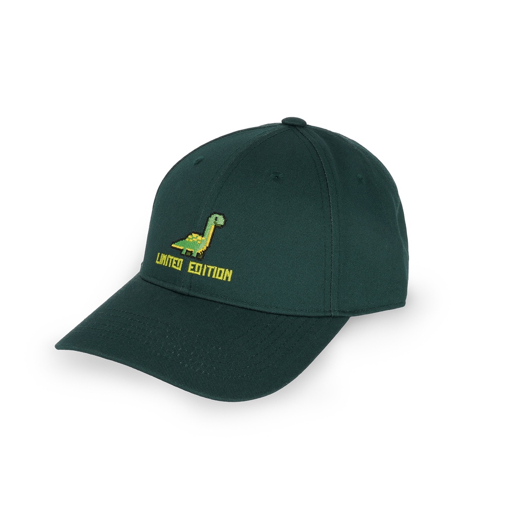 BCAP0005_2