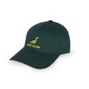 BCAP0005_2