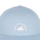 BCAP0007_3