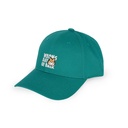 BCAP0004_2