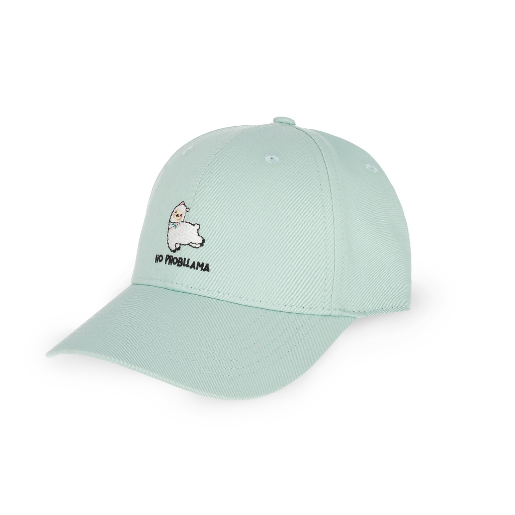 BCAP0003_2