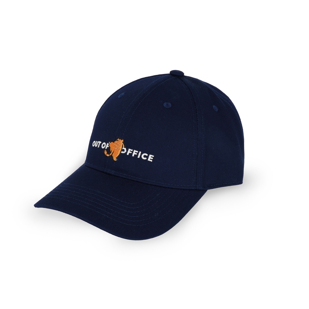 BCAP0008_2