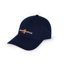 BCAP0008_2