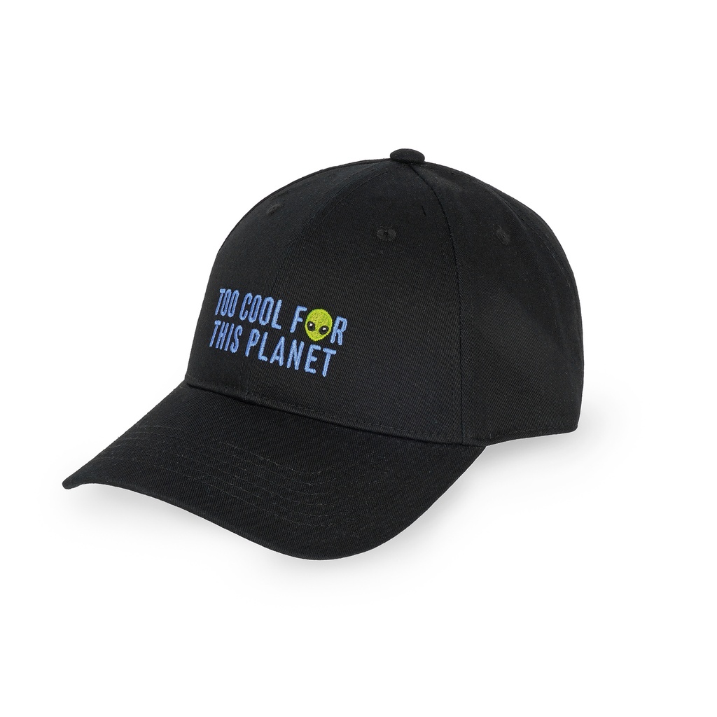 BCAP0010_2