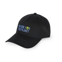 BCAP0010_2
