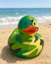 Canard Commando