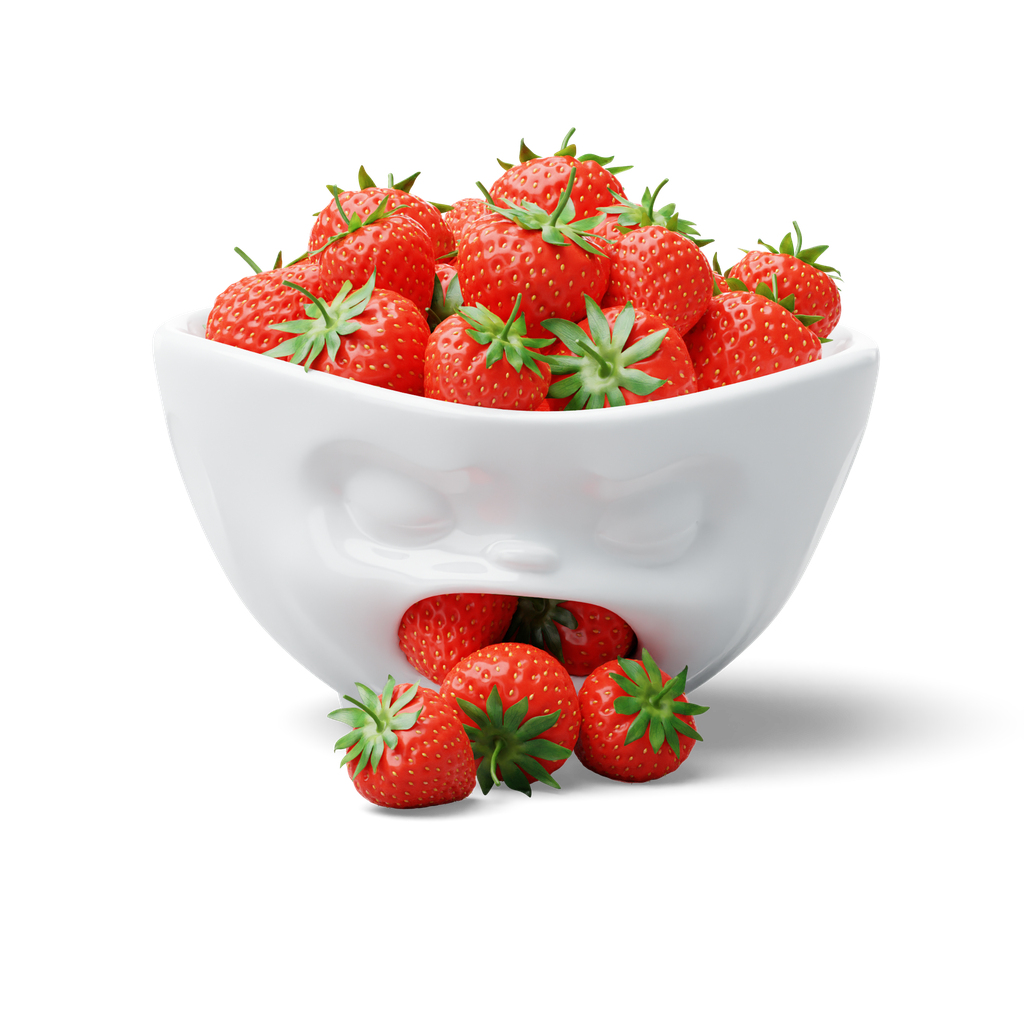 Bol 1000 ml - blanc vomissant