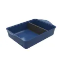 mon joli plat au four - myrtille