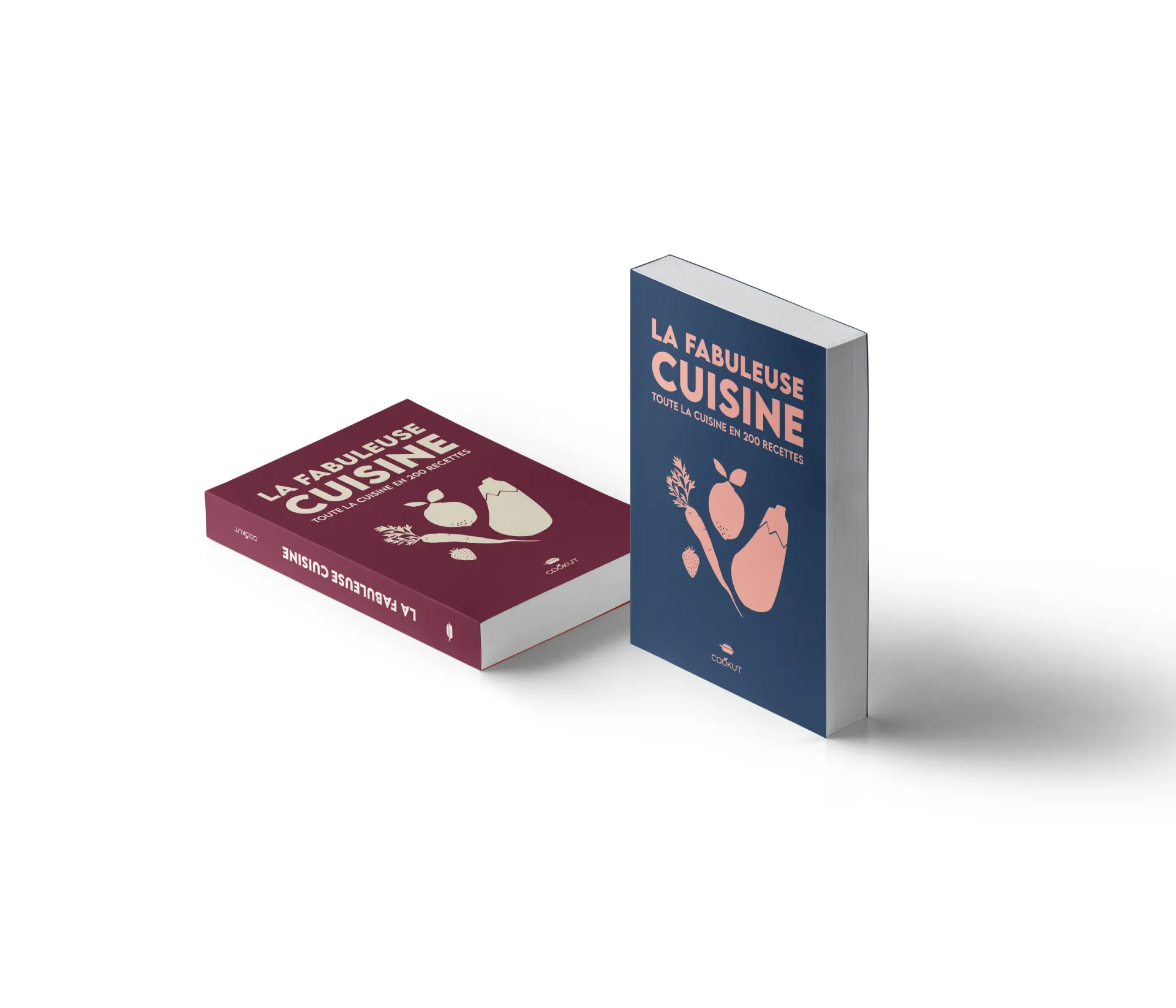 Livre de 200 recettes pour la fabuleuse