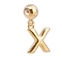 Charm Lettre X