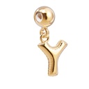Charm Lettre Y