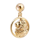 Charm Lion