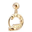 Charm Scorpion
