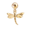 Charm Libellule